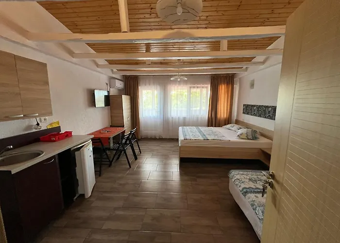 David Junior Accommodatie bij particulieren