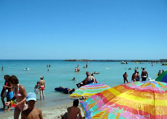 Gazde/Camere de închiriat David Junior