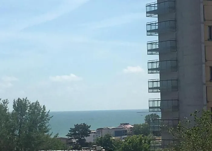 David Junior Gazde/Camere de închiriat *