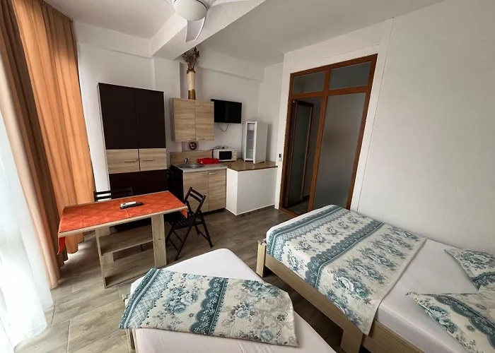 David Junior Gazde/Camere de închiriat *