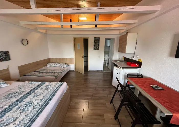 Gazde/Camere de închiriat David Junior Eforie Nord